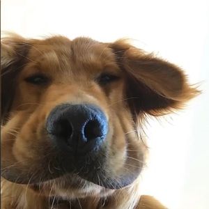 Meet your Posher, Wen